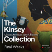 28 Days of The Kinsey Collection