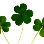 Route Alternatives Due to St. Patrick's Day Parade
